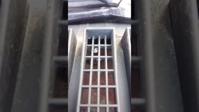 Файтинг-бенд