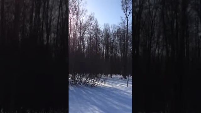 ??9️⃣ Успенские Хутора. Жилой четырехуровневый коттедж из рубленого бревна, 250квм, 45 соток леса.