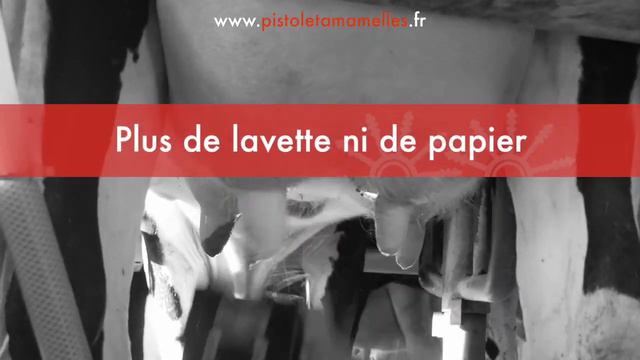 Le Pistolet à Mamelle