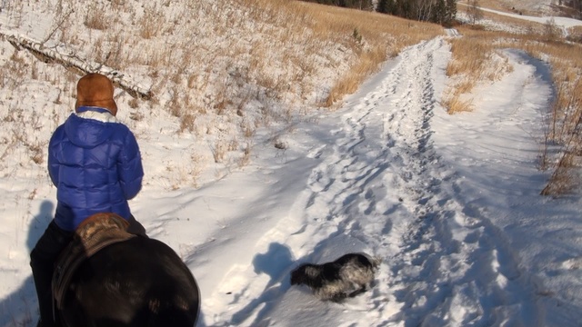 Прогулка с Идреем на Алтае