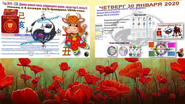 Прогноз с 27 января по 2 февраля 20 года.