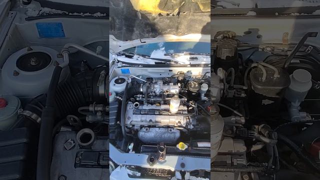 Радостные ответы