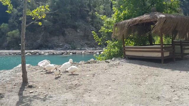 Гёйнюк Каньон в Анталии!2022!