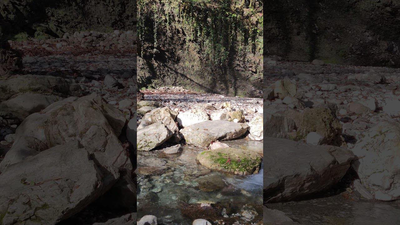 51c5c9c9e95af730e172e5921e70df69