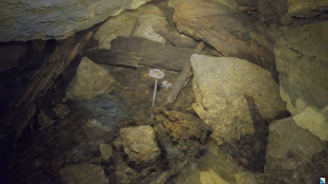 1f8db28939aa628645e446daf27807b2