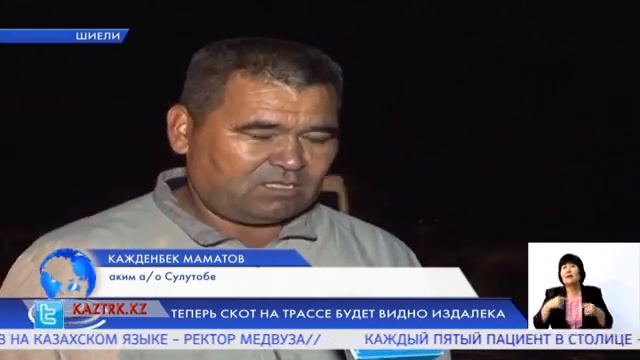 ТЕПЕРЬ СКОТ НА ТРАССЕ БУДЕТ ВИДНО ИЗДАЛЕКА