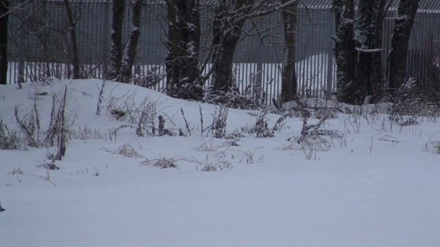 45174e922238447e7eda4f5bf7454a7e