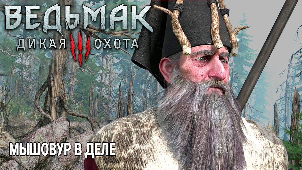 The Witcher 3: Wild Hunt ( Ведьмак 3: Дикая Охота ) БОЛТОВНЯ С ЕН