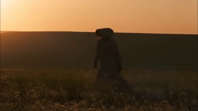 Beach House - Meek's Cutoff - Walk In The Park (LSd Video)