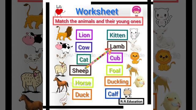 Match The Animals And Their Young Ones