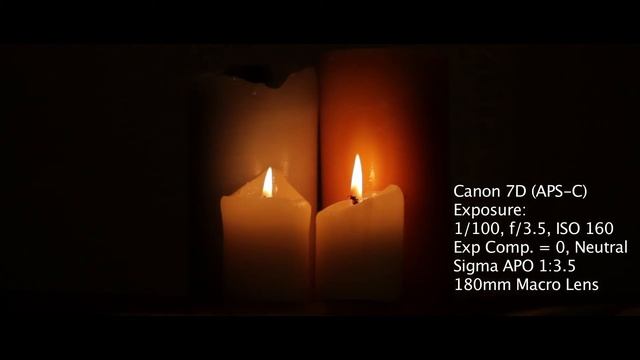 Canon 550D T2i Vs 60D Vs 7D Vs 5D MK II Test