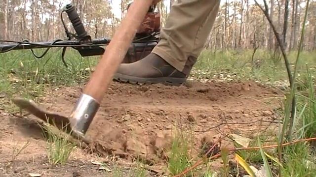 Minelab GPX 5000 Nugget Finder EVO. coil  .09 gram gold nugget