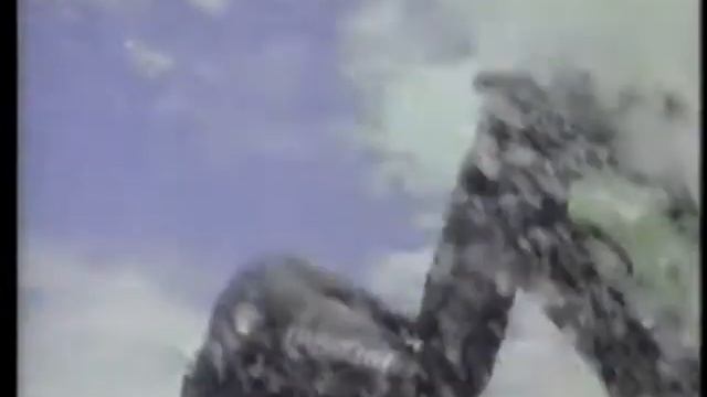 Rick Roy Freestyle Jet Ski