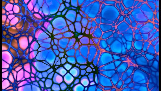 Ресвератрол, Периваскулярная жировая ткань