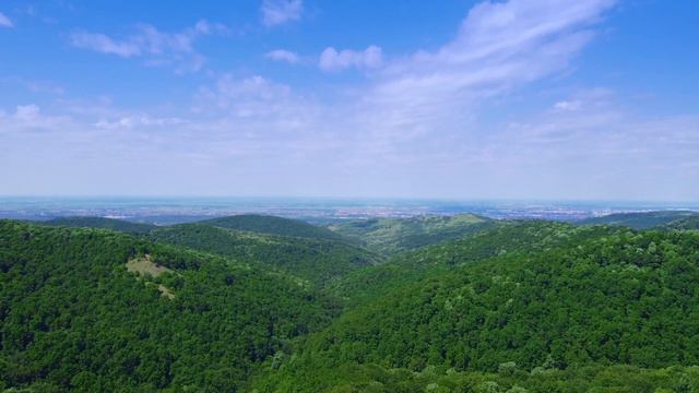 Алексей Решетников. Авторская музыка.