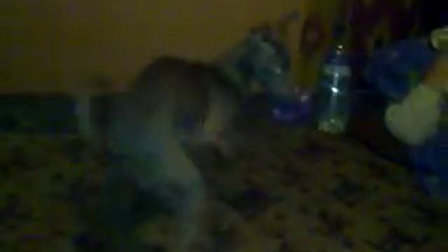 79f1d641b4d4c248427df4417e1d8a24