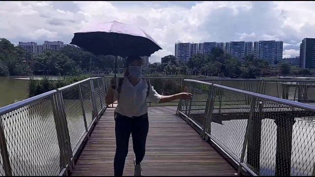 The Beauty  Of Jurong Lake Garden/ Singapore 🇸🇬