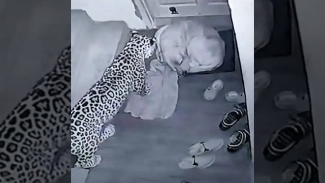 Бодрствуйте!!!