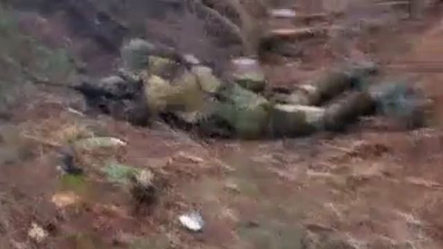 Хроники СВО Купянское направление
