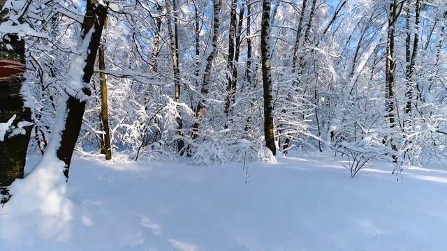 Музыка для души! КРАСИВАЯ ЗАВОРАЖИВАЮЩАЯ МУЗЫКА! Очень нравится! ЗИМА, СНЕГ.ЛЮБОВЬ.МЕТЕЛЬ МЕТЕТ!