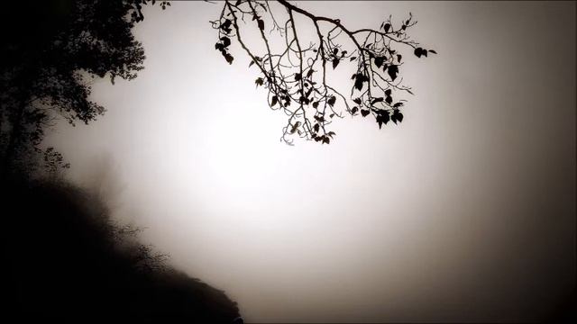 Franz Schubert: Der Erlkönig /Anna Litvin, Mezzo-soprano