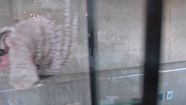 Стоматологический центр и огромная дверь! Неймеген, Nijmegen. Нидерланды (Netherlands).