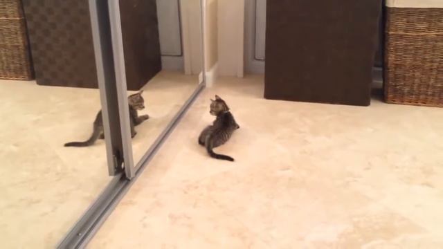 Эксперименты и исследования