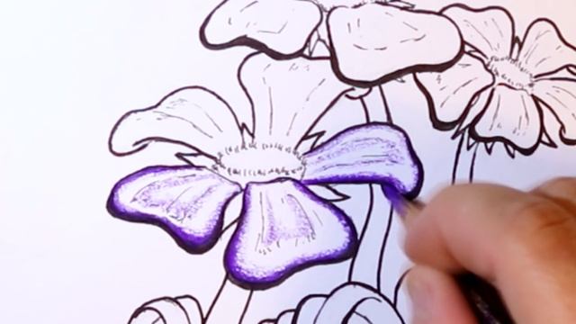 How To Draw Flowers Like A Tattoo Artist