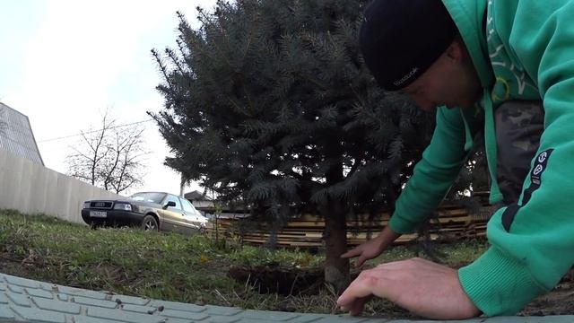 УСПЕЛ ДО ЗИМЫ ПОСАДИТЬ