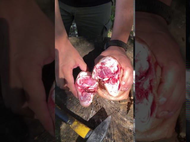 Тесты просто.ножа ОБЯЗАТЕЛЬНО К ПРОСМОТРУ