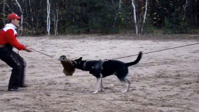 Тимский на занятии