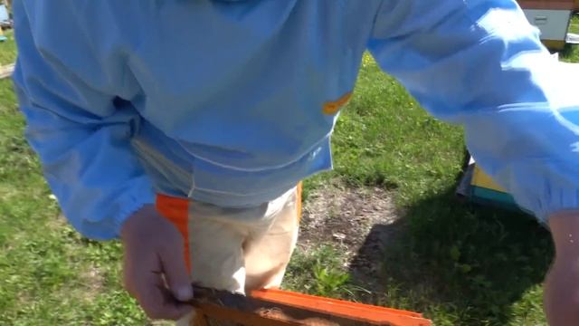 165d1516067a306c147d5e8f9fccd0f8