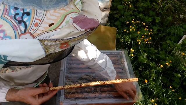 343b8d1b9b69a7ab4a1c66b08fd61937