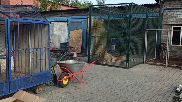 7046bf9bd77ada0c316b170f425d5425