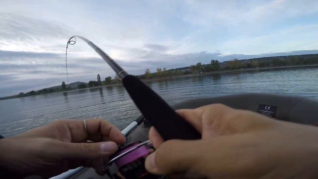 Щука в октябре на твичинг!