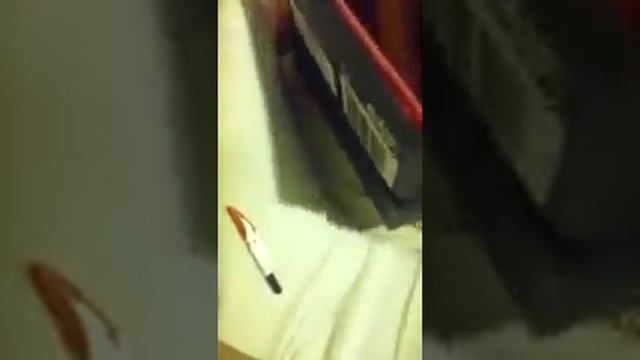 Two Brand-New LDD's, Yaoi Manga, And Hetalia