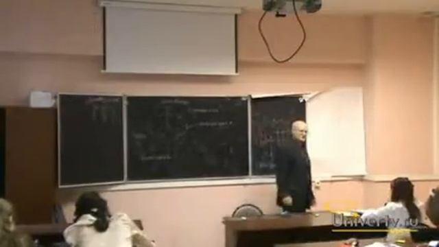 Безденежных Б Н  Лекция 12 Функции больших полушарий головного мозга Кора головного мозга Часть1