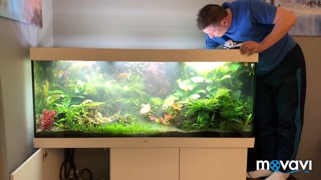 31ef244ad5e4971d88f36808f24c2160