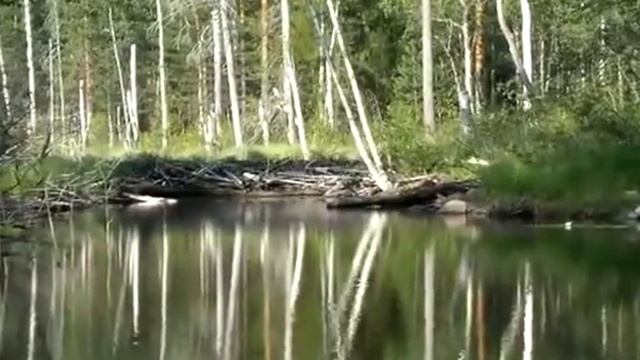 Долго будет Карелия сниться