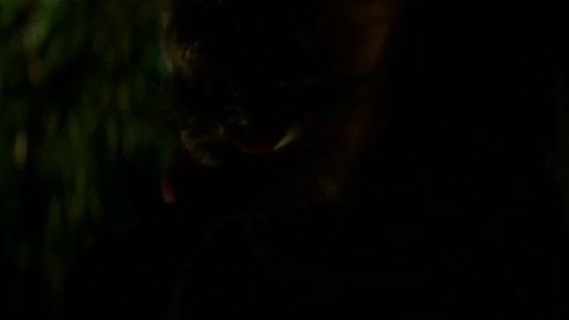 Облако волос.