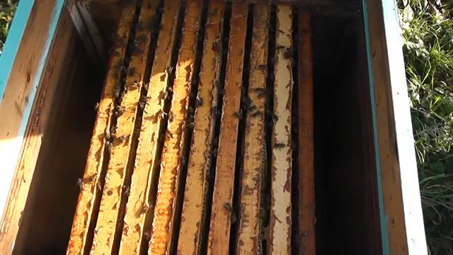 опять выдался поздний облёт