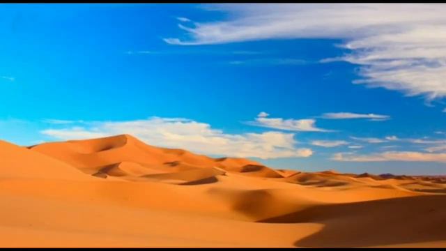 Eb59105592c8a0969607def820a50fb1