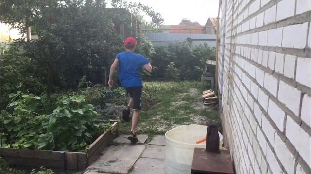 УНИЧТОЖАЮ ГНËЗДА ОС?! УКУСИЛА ОСА??? AleksBais!