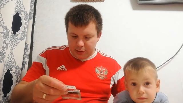 Томат Демидов Обзор