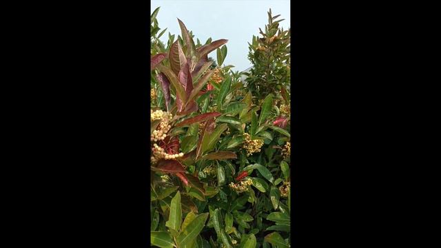 E54d5f4713d052338cf93f778cba8cc7