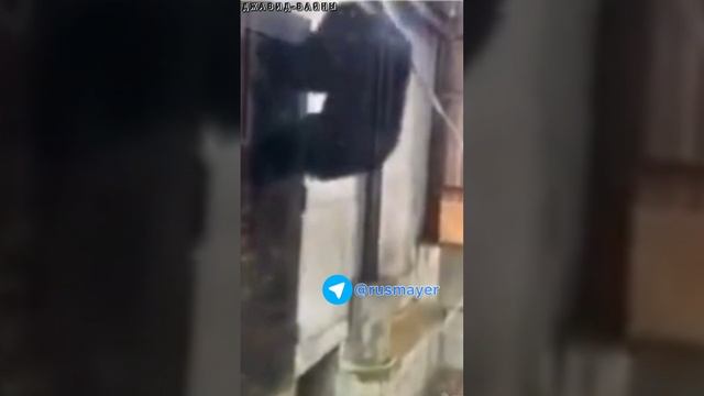 B394886e473123304e6449259f3f1bac