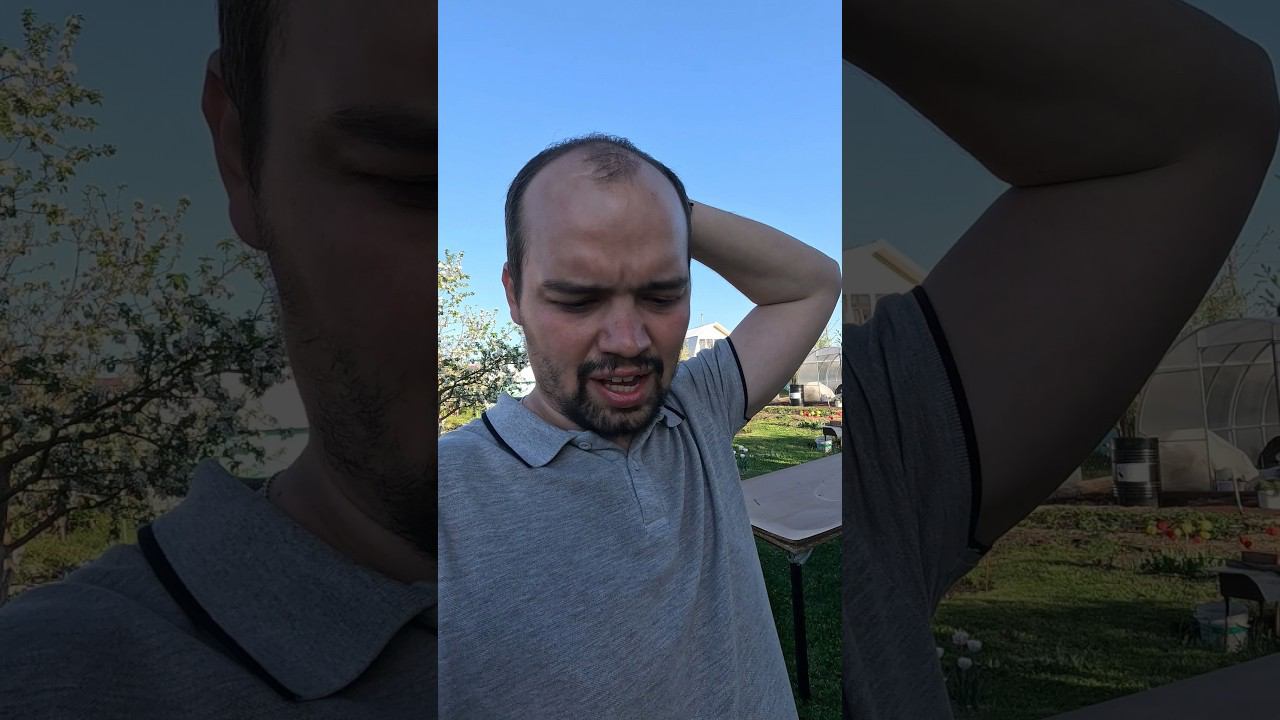 Похождения Гургена