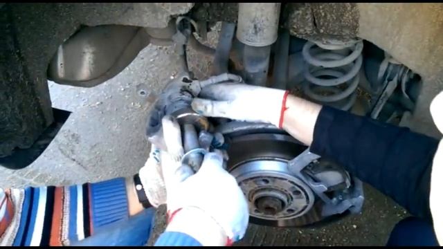 Жизнь в Красоте