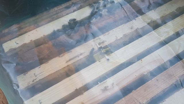 Подсадка островной .