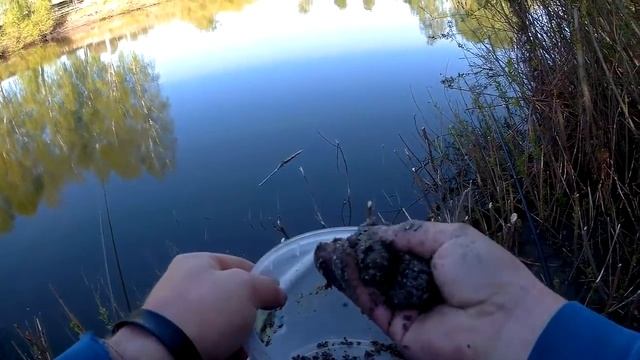 Карась & Синька. Рыбалка с нервами.